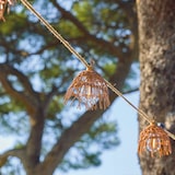 thumbnail of Lumisky MINI HAWAI 10 LED 8M Solar-Lichterkette Seil Braun