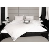 thumbnail of HS63 Ballonbett Bettdecke Oberbett Decke Federbett 2600g 70 % Daunen 155x220 cm