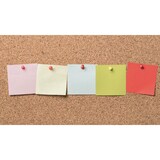 thumbnail of ALLBoards Tableau en Liège avec Cadre en Bois 200x120cm