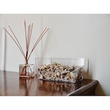 thumbnail of Teraplast - Coimbra Harz-Blumentopf 20 cm, transparent