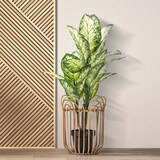 thumbnail of Porta-vasos panama cm ø 31,5x40