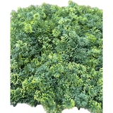 thumbnail of OLSO | Bosque verde de pared de musgo premium | Catering montaje en pared de musgo artificial | Práctica de patio de pared de planta colgante de pared