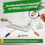 thumbnail of Kellerasseln Falle mit Spezial-Lockstoff: 3