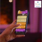 thumbnail of Philips Hue White and Color ambiance Iris Tischleuchte schwarz