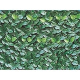 thumbnail of Garden Friend Recinzione pvc H. 100xL. 300 cm con foglie lauro