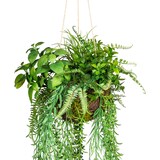 thumbnail of CREATIV green künstliche Pflanze Dekokugel, ca 30x80cm grün