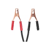 thumbnail of MSW - Auto acculader - jumpstart - 12/24 V - 100 A - compact