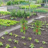 thumbnail of Relaxdays Rankhilfe Obelisk, 2er Set, 100cm hoch, Ranksäule für Kletterpflanzen, Metall, freistehend, Rosenturm, schwarz