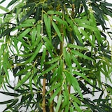 thumbnail of Bambú Artificial con Maceta Planta de Hojas Realistas Decorativa Ø18x150cm Verde