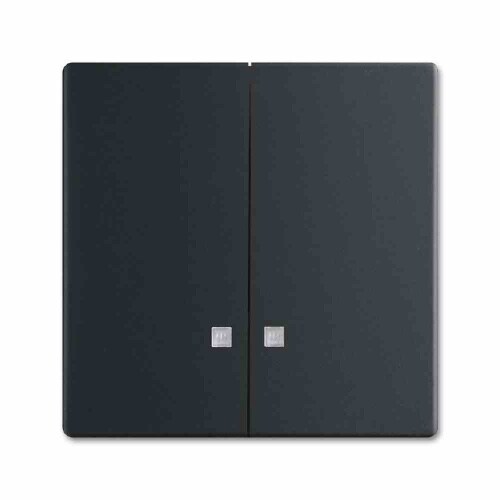 Wippe Serien, Schalter/Taster, schwarz, matt, ohne ISO Aufdruck, Kontrollfenster/Lichtauslass