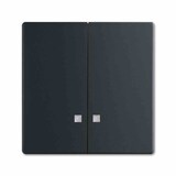 thumbnail of Wippe Serien, Schalter/Taster, schwarz, matt, ohne ISO Aufdruck, Kontrollfenster/Lichtauslass