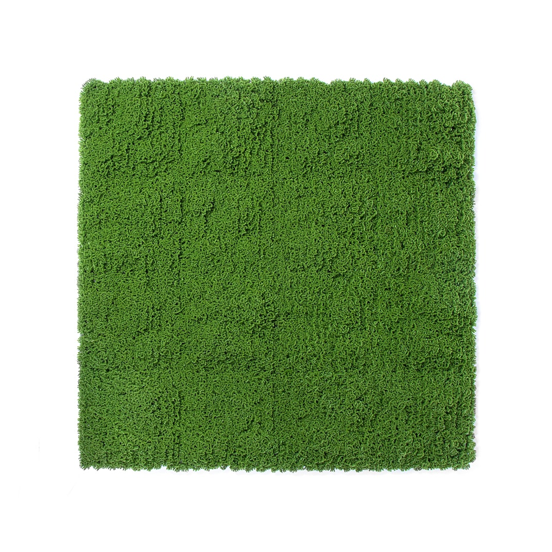 Rollo Jardin Vertical Moss 100 X 100