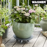 thumbnail of WAGNER Pflanzenroller STONE Ø 34 x 7,5 cm, außen&innen, Beton, Ornamente, schiefer, Bremsen, Tragkraft 100 kg - 20090201