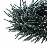 thumbnail of Guirlande lumineuse Boa D12cm 5M 500 miniLED blanc froid extensible 31V câble vert IP44 SMART Connect  Lotti