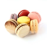 thumbnail of FHC - 150Pcs - Insert plastique PET transparent rond pour 7 macarons avec fermeture clipsable  130 H20mm