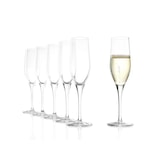 thumbnail of 6x Stölzle Lausitz Exquisit Sektkelch 175 ml Sektglas