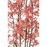thumbnail of VERT ESPACE plante artificielle aralia (erable) uv resistant 180 cm