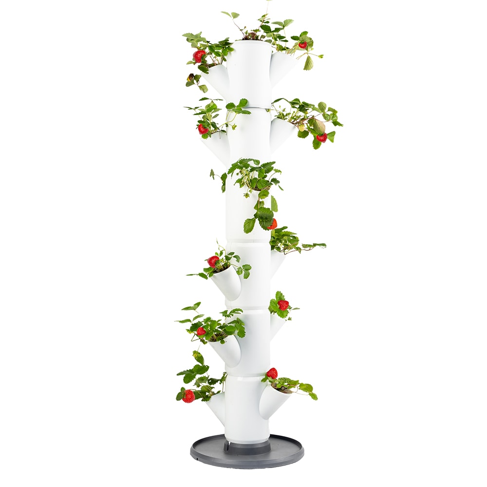 Gusta Garden Sissi Strawberry Classic Draußen Vertikale Pflanzmaschine Freistehend Polypropylen (PP) Weiß