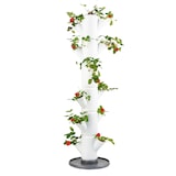 thumbnail of Gusta Garden Sissi Strawberry Classic Draußen Vertikale Pflanzmaschine Freistehend Polypropylen (PP) Weiß