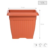 thumbnail of Prosperplast - TERRA 1,7-l-Blumentopf – 15 x 15 x 13 cm in Terrakottafarbe