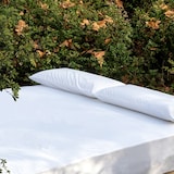 thumbnail of Alèse  Blanc  Impermeable & Anti-acariens 180x200 cm B-SENSIBLE BELLECOUR