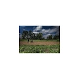 thumbnail of Motoculteur à essence Moteur 4T 7CV 212 cm3 Motobineuse Thermique avec Fraises double sens VITO