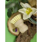 thumbnail of Brosse à vaisselle en bois Fackelmann