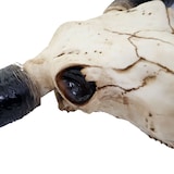 thumbnail of Décoshop26 - Crâne décoratif 132cm trophée tête de taureau longhorn en polyrésine intérieur/extérieur couleur naturelle 04_0002845