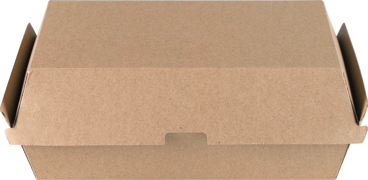 Ecoline – 200 unités – Boîte repas carton kraft micro-cannelé – 20 x 11 x 8 cm, 1200 ml