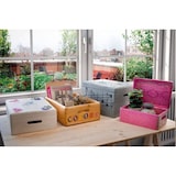 thumbnail of Caisse en bois brut de rangement (Lot de 2) JARDINDECO