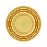 thumbnail of MONOUSO - Wiederverwendbare Plastikteller PP-MF Gold Ø21cm (6 Stück)
