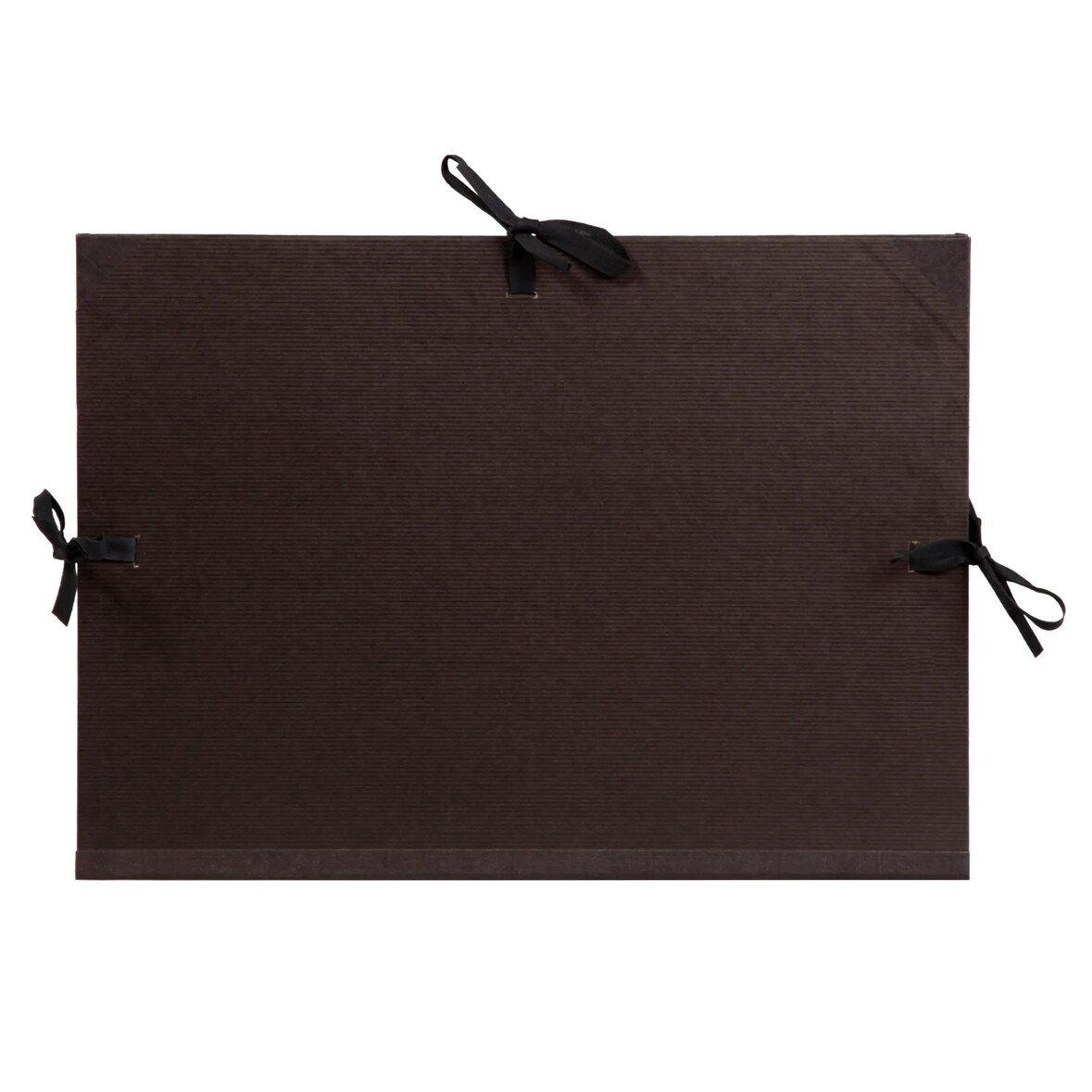 Clairefontaine 8x Zeichenmappe Kraft, Bandverschluss und 3 Klappen, 32x 45 cm für A3+ - Schwarz 38015C