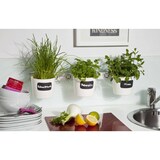 thumbnail of Kräuter- und Pflanzenleiter für Fenster von 72,5 bis111,5cm weiss 200240201-HE