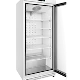 thumbnail of METRO PROFESSIONAL Glastürgefrierschrank GFR6600G, 380 L, weiß