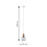 thumbnail of Paulmann Neordic Luminaire en suspension Ylvie  E27   max. 20W Bois#Clair gradable Bois#Verre 79745