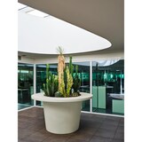 thumbnail of Pot de fleur xxl 2 en 1 table haute alto h 118 cm - BLANC