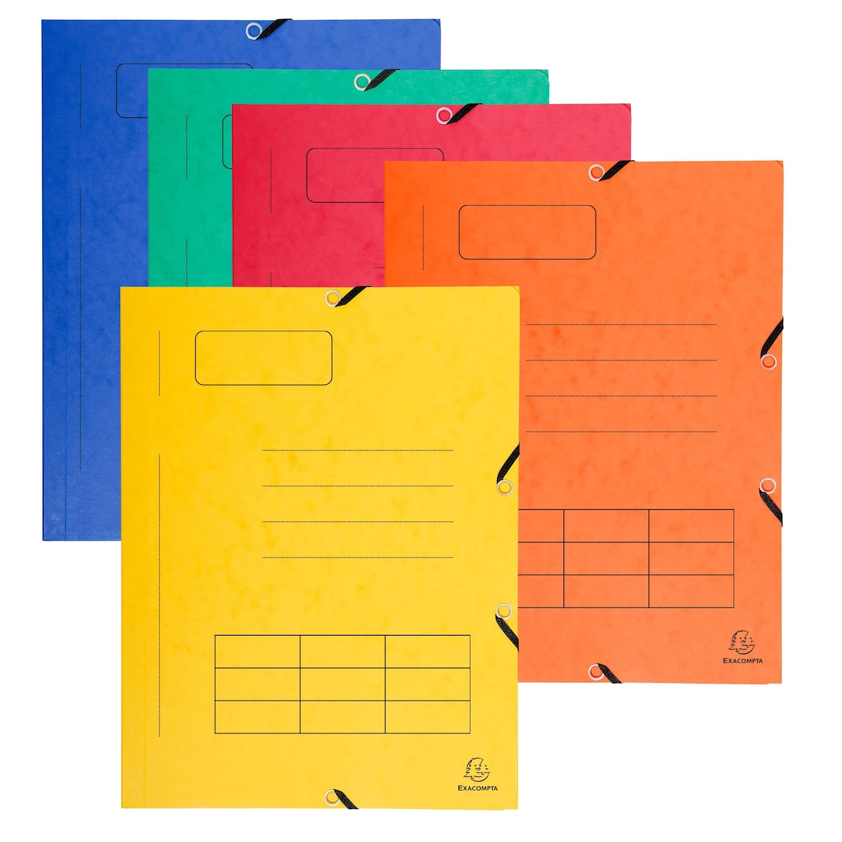 Exacompta 55360E 50x Elastomap met 3 kleppen, glanskarton 355g/m², bedrukte omslag met lijnen, 24x32 cm voor formaat A4, geassorteerde kleuren