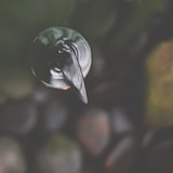 thumbnail of Handzeep 400 ml - The Spa Collection Vetiver Cosmos Natural (Doos van 24 stuks)