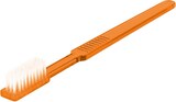 thumbnail of Einmalzahnbürsten - mit Zahnpasta - Kunststoff - orange - 100 Zahnbürsten