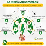 thumbnail of Schlupfwespen gegen Lebensmittelmotten 4 Karten - Effektiv Motten bekämpfen / Bio- Mittel gegen Motten, Alternative zu Chemischen Mottenfalle