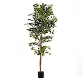 thumbnail of Albero artificiale ficus benjamina 180 cm | Naturing Monde - Interno - Tronco d'albero naturale