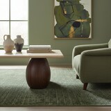 thumbnail of Teppich Wohnzimmer Einfarbig Pflegeleicht Waschbar Schlafzimmer OEKO-TEX Grün 120x170 cm Schadstoffgeprüft – TITLIS von Kadima Design