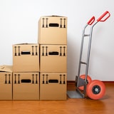 thumbnail of Relaxdays 2x Sackkarrenrad, 3.00-4 Zoll, 260 x 85 mm, pannensichere Vollgummireifen, 20mm Achse, bis 80 kg, rot-schwarz