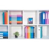 thumbnail of Exacompta - Réf. 51193SE - Carton de 25 classeurs souples - 4 anneaux 15mm - Dos 20mm - 32 x 25 cm -  A4 - Vert clair