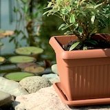thumbnail of Prosperplast - TERRA Bloempot 25,2L - 37x37x30cm in Terracotta kleur