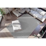 thumbnail of Cathee 100 Taupe / Silber 160cm x 230cm