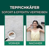 thumbnail of Teppichkäfer Spray - Teppichkäfer vertreiben & loswerden: 2 L Kanister + 500 ml Sprayflasche