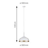 thumbnail of Paulmann Neordic Luminaire en suspension Embla  E27   max. 20W Blanc dépoli#Doré gradable Métal 79628