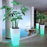 thumbnail of Danieli Vasi luminosi da Giardino  a LED | resina antigraffio illuminato con Luce bianco neutra 4000 k| Led IP67 | Made in Italy | cm 30x30x60| kg 2,8