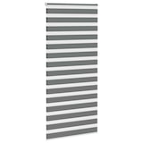 thumbnail of vidaXL Doppelrollo Dunkelgrau 100x200 cm Stoffbreite 95,9 cm Polyester